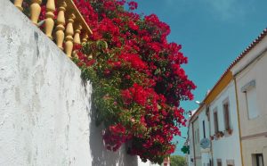 Misericórdia de Atouguia da Baleia Church, GoPeniche Your Local Touristic Guide