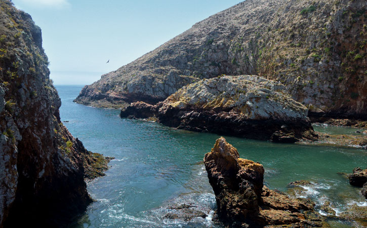 Berlengas, Gopeniche, o teu Guia Turístico Local
