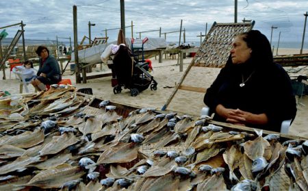 Best of Nazaré Tour, GoPeniche Your Local Touristic Guide