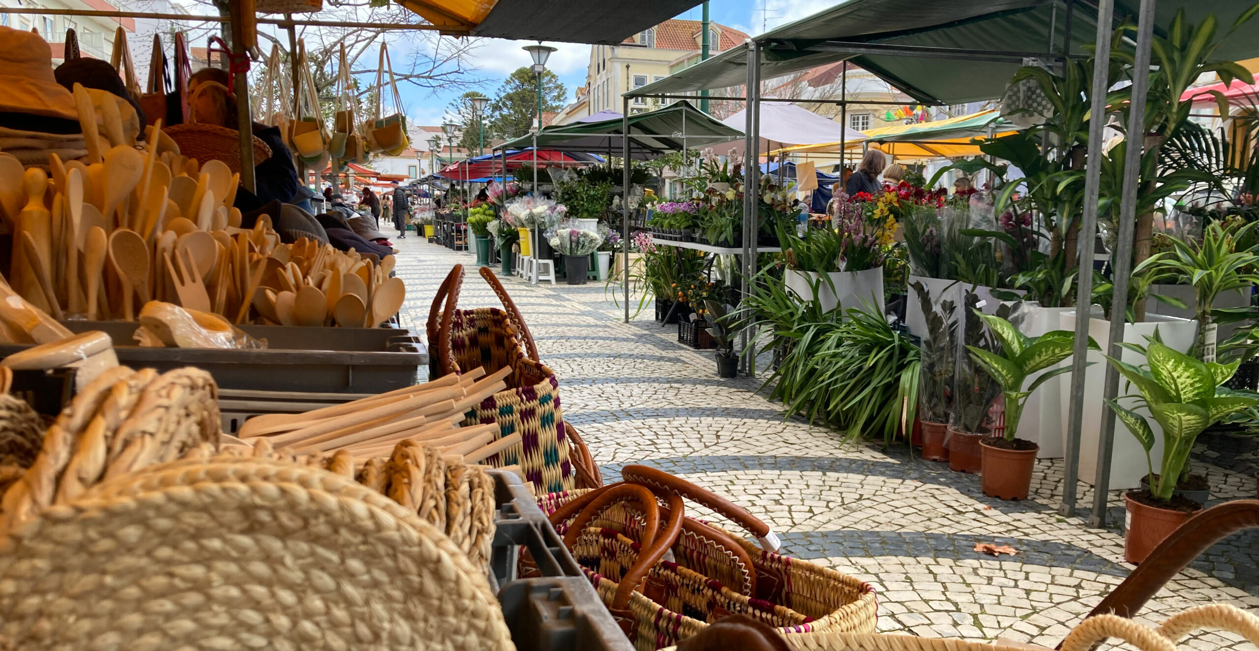 Praça da Fruta, o mercado diário das Caldas da Rainha