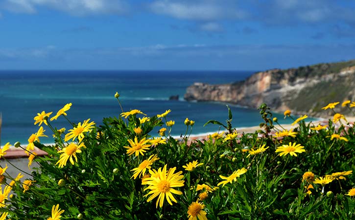 Panoramic view of Nazaré